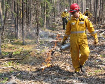 Thomas Schiks conducting a prescribed burn.